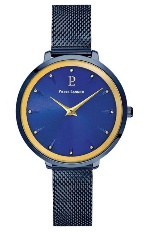 Montre Astéroïde Pierre Lannier