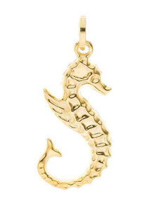 Pendentif Hippocampe