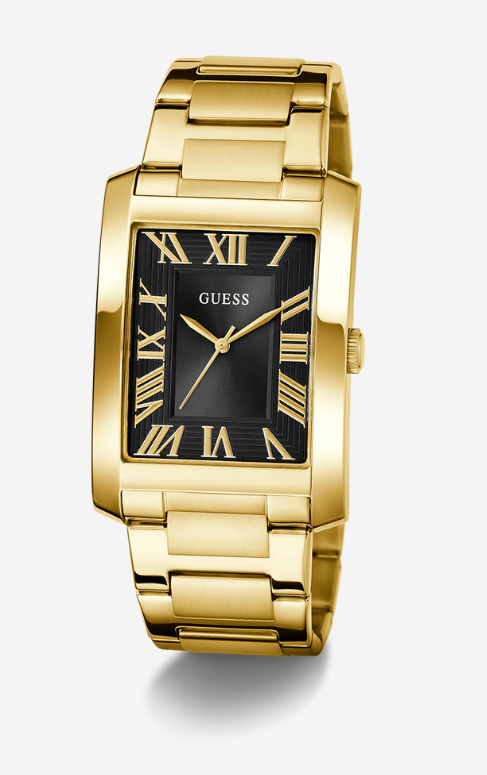 Montre Analogique en Acier inoxydable GW0896G2